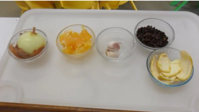 Figura 3 - Tabuleiro com vários alimentos 