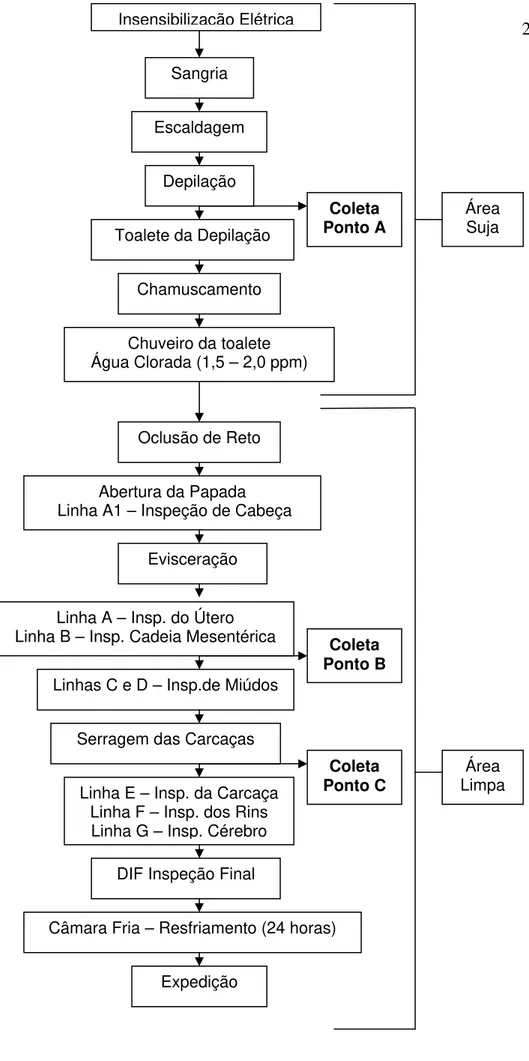 Figura 3 – Fluxograma do Abate de Suínos  DIF Inspeção Final  Linha E – Insp. da Carcaça 