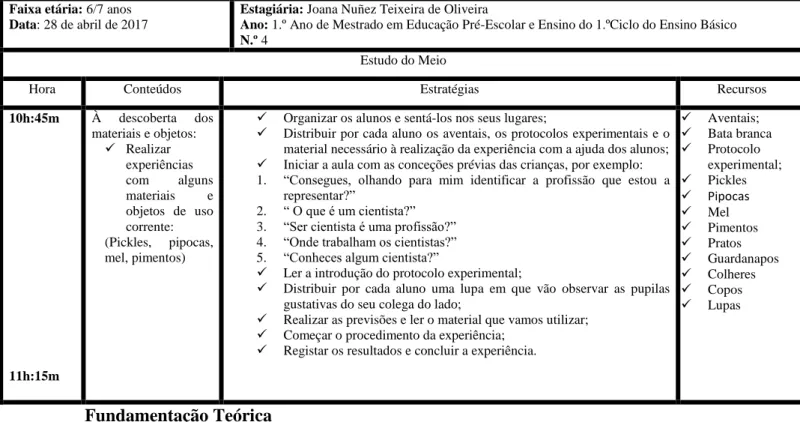 Figura 5 – Exploração didática de uma atividade experimental 