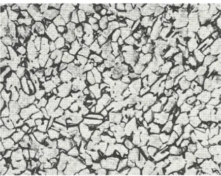 Figura  2.1  -  Microestrutura  de  liga  Ti-6Al-4V  recozida.  Grãos  cinzas  claro  equiaxiais  consistem de fase  α ; fase intergranular escura é a  β  (THORTON; COLANGELO, 1985) 