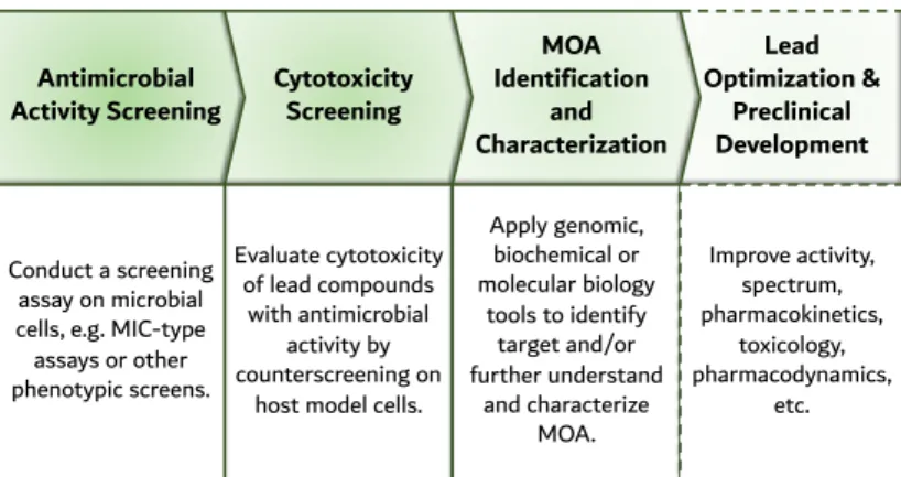 Figure 4. Schematic representation of the cell-based antibiotic discovery platform: drug candidates  are identified from cell-based screening assays, a counter-screen excludes cytotoxic compounds, and  subsequently genomics tools are applied to identify MO