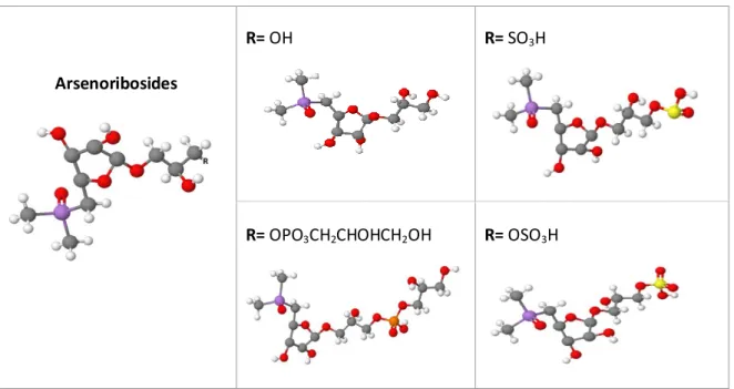 Table 2: Main types of arsenosugars present in algae. (Structure obtained from: http://molview.org/) 
