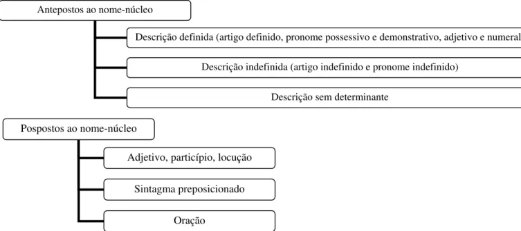 Figura 7: Classificação dos determinantes que antecedem e sucedem o nome-núcleo das anáforas.