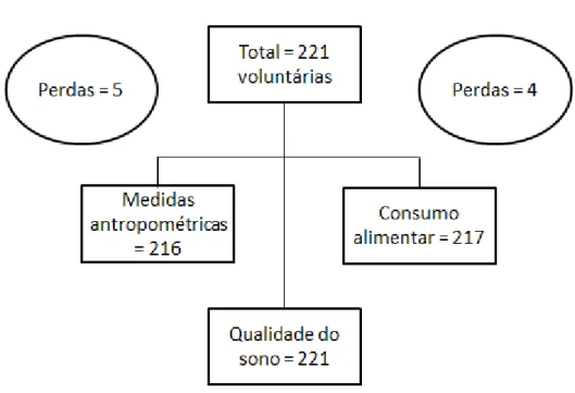 Figura 2. Total de participantes nos três tipos avaliações realizadas neste estudo. 