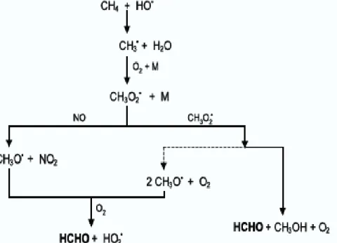 Fig  2.2  Schematic  equation  showing  the  formation  of  formaldehyde  from  methane  by  reaction with OH-radical