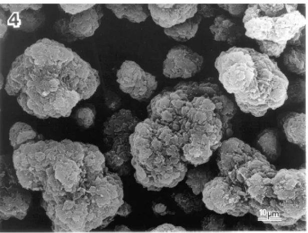 Figure 4 shows a micrograph of the free-flowing powder of Al(OH)Ac 2 ; the first observation is that the powder is constituted by micrometer sized particles, well separated from each other;