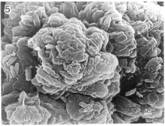 Fig. 5 – SEM of one particle of Figure 4 at higher magnification.