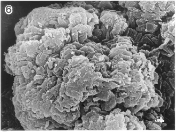 Fig. 6 – SEM of an agglomerate after being heated at 300 ◦ C.