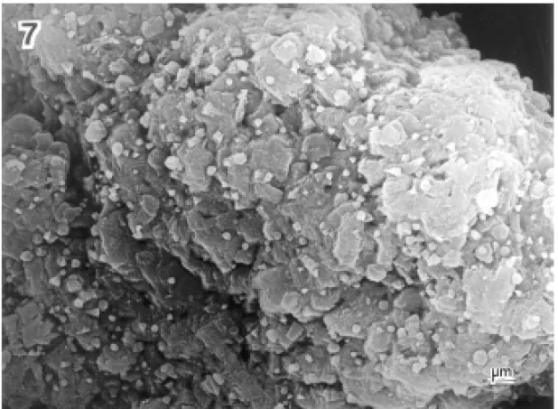 Fig. 7 – SEM of an agglomerate after being heated at 700 ◦ C.