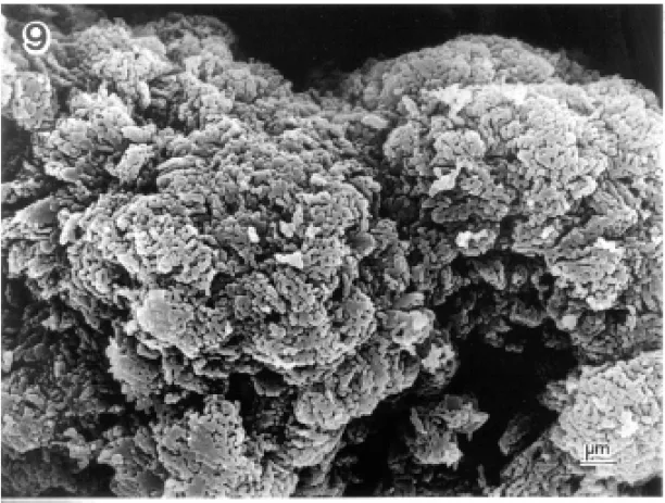Fig. 9 – SEM of two agglomerates of alpha-alumina after being heated at 1300 ◦ C.
