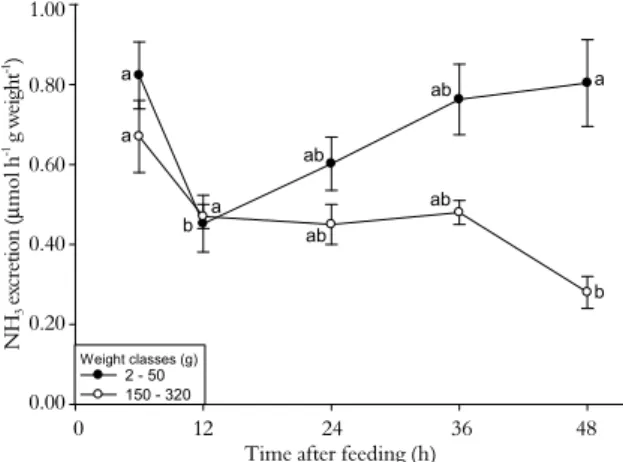 Figure 3.  Ammonia excretion in silver catfish of two different  weight classes as a function of fasting time