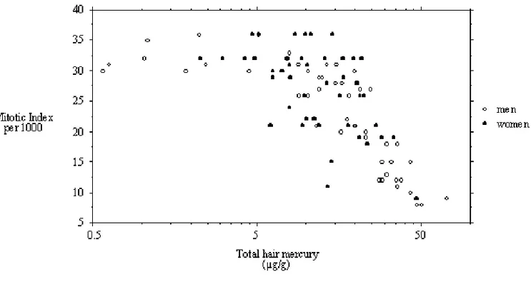 Fig. 1 – Relation between mitotic index for men and woman with respect to total hair mercury.
