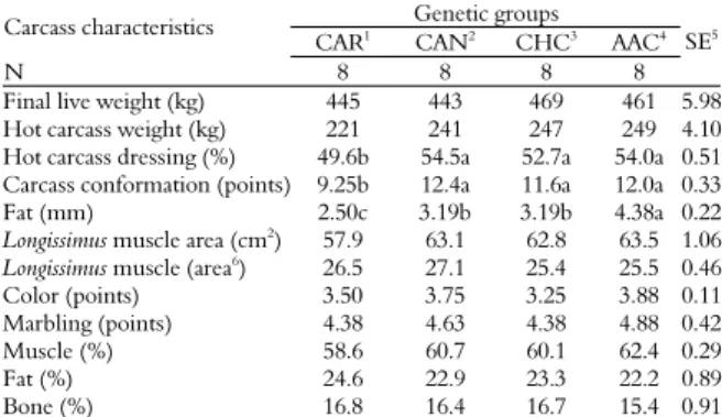 Table 3. Carcass characteristics of different genetic groups of  bulls slaughtered at 14 months old
