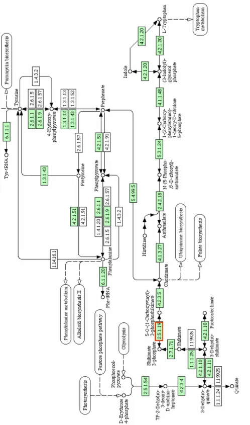 Fig. 1 – Synthesis of aromatic amino acids. Enzymatic activity of EPSPS is depicted in red.