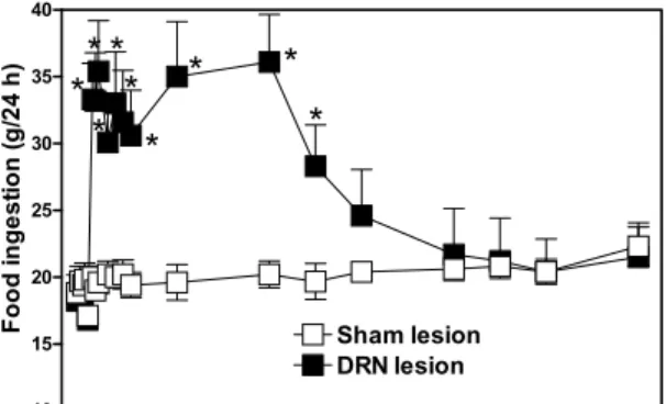 Fig. 5 – Chronic effect of the electrolytic lesion of DRN on the food intake in rats. Data are presented as mean ± standard error.