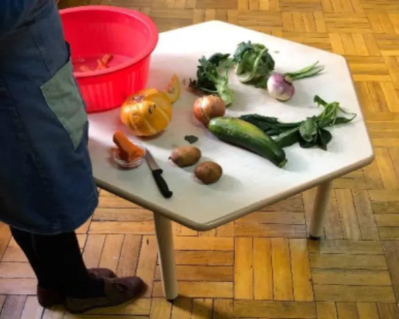 Figura 1 - A educadora mostrou 10 legumes às crianças  