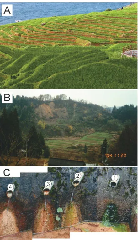 Fig. 3 – Outcrop views of landslide areas with terraced rice field at Noto pen insure (A), largely slide down the hill beside rice fields in Tochio, Niigata Prefecture, by earthquake in 2004 (B), and drainage pipes at landslide area in Takayanagi, Kashiwaz