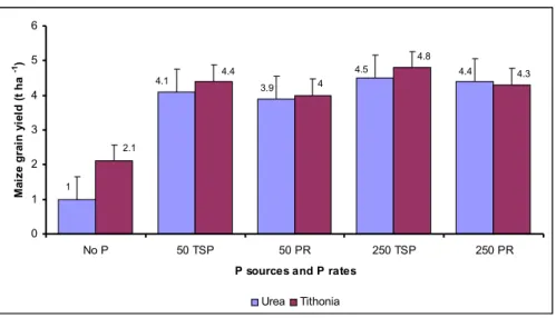 Fig. 1 – Maize responses to phosphorus and Tithonia applications in western Kenya. Average of 3 on-farm experiments summed over 5 cropping seasons (‘long rains’)