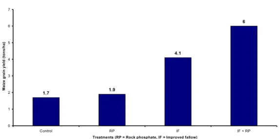 Fig. 3 – Effect of improved fallows and Minjingu phosphate rock on maize grain yield under a case study of 83 farmers in western Kenya (Source: Bashir Jama, unpublished data).