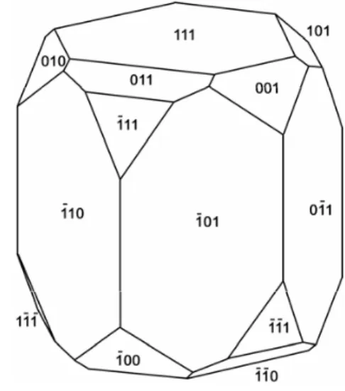 Fig. 2 – Idealized structure for elongated magnetosomes. Itaipu- Itaipu-1 and Itaipu-3 crystals show similar morphology except for crystal length, width to length ratio, and relative development of the corner faces.