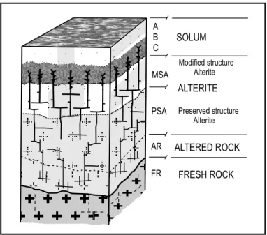 Fig. 2 – Lateritic profile of a tropical soil (Melfi et al. 1999).