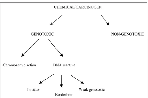 Fig. 4 – New proposal to classify chemical carcinogens.