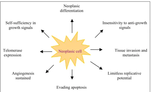 Fig. 1 – Malignant cell characteristics.