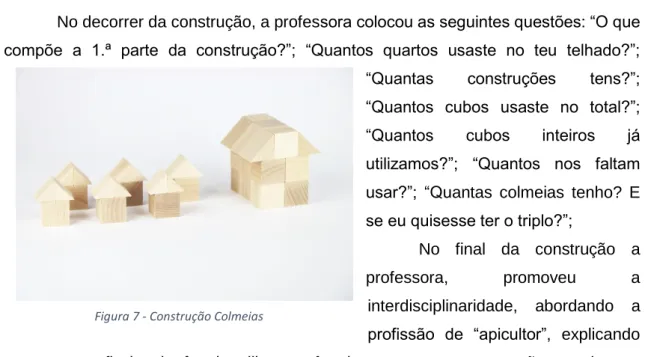 Figura 7 - Construção Colmeias 