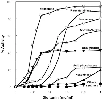 Fig. 7 – Behaviour of ribulose 5-phosphate epimerase activity upon digi- digi-tonin extraction of T