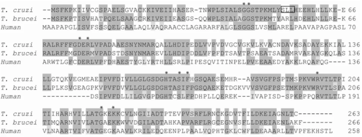 Fig. 3 – Alignment of the deduced amino acid sequences of different 6-phosphogluconolactonases