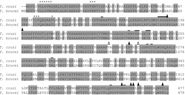 Fig. 4 – Alignment of the deduced amino acid sequences of different 6-phosphogluconate dehydrogenases