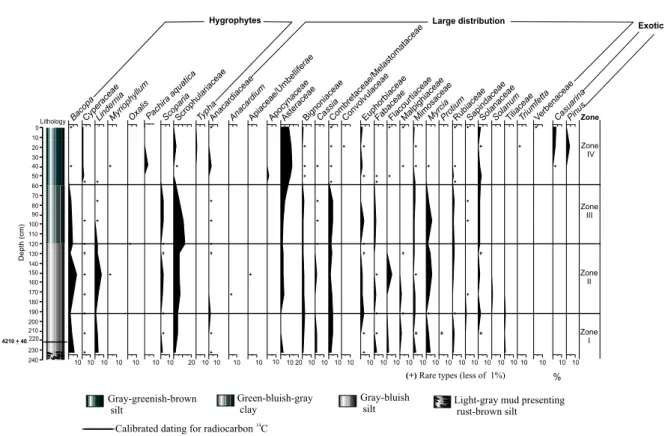 Fig. 6 – Percentage palynodiagram of the pollen types grouped into Hygrophytes, Wide Distribution and Exotic Genera.