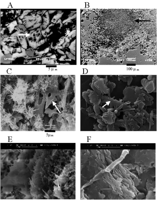 Fig. 7 – Microtextures of the clays: (A) inherited grains of K-feldspar at the base of Ceramarte mine showing &#34;etch-pit formations&#34;; (B) the arrow in the thin section photomicrograph points the spherulitic texture of the rhyolite; (C) in a small fr