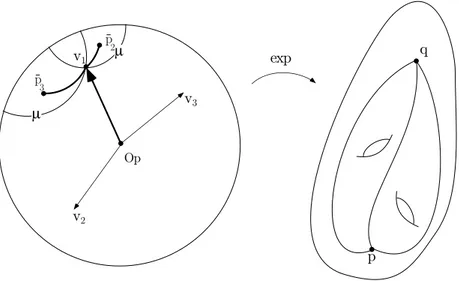 Fig. 1 – Mediatrices µ corresponding to the focal decomposition. The d-distance ¯ from v 1 to O p , p¯ 2 , p¯ 3 is ℓ