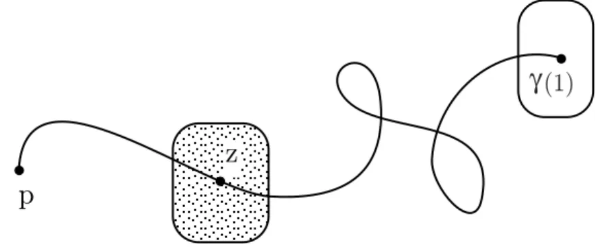 Fig. 2 – Varying g at a free spot z controls the endpoint q = γ (1) of the geodesic γ .