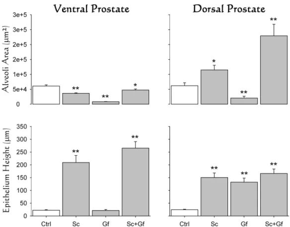 Fig. 3 – Graphic representation of histological changes. Modification of prostate tissue parameters following denervation of scrotal (Sc) and genitofemoral (Gf) nerves alone or combined (Sc+Gf).