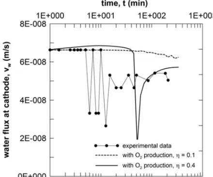 Fig. 7 – Electrokinetic filtration test: comparison between experimental data and numerical simulations.