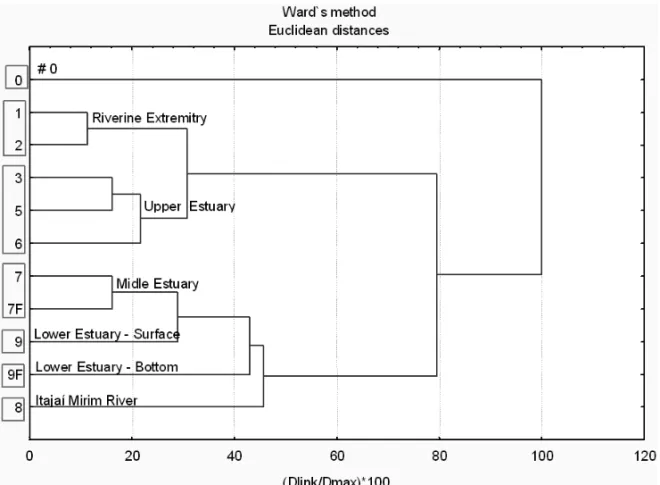 Fig. 6 – Dendrogram showing the clusters formed based on the cluster analysis carried out on the measurements of variables in each collection station, in the Itajaí-Açú River estuary