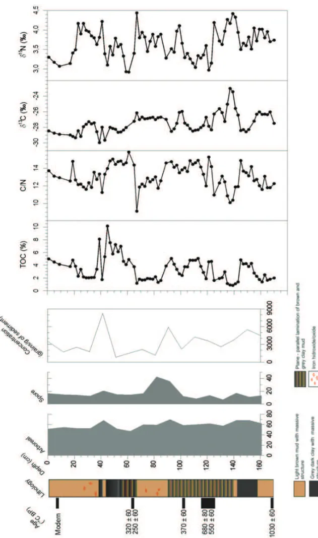 Fig. 2 – Concentrations of arboreal pollen, spore, grains/g of sediment, total organic carbon, C/N ratios, δ 13 C and δ 15 N values from Lagoa Grande.
