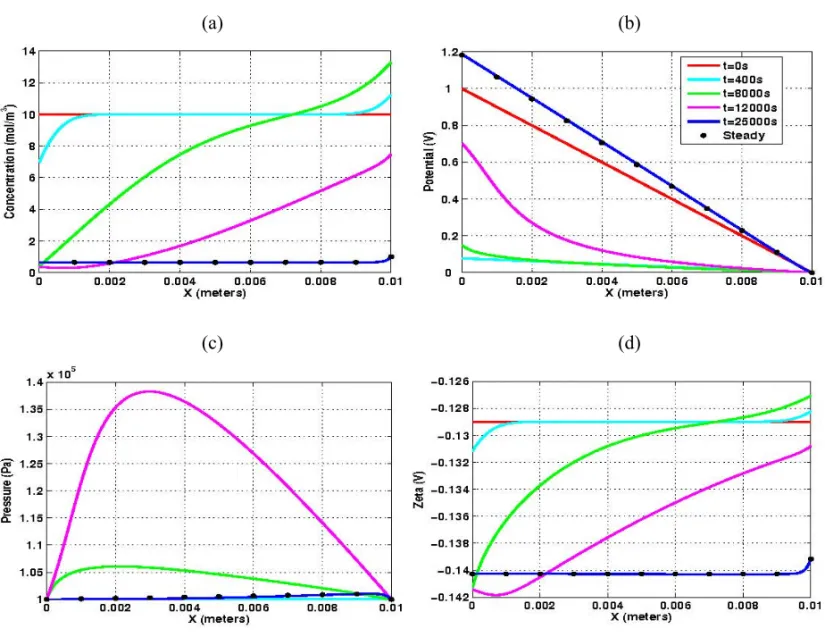 Fig. 6 – Results of the numerical simulations for p H = 8.0.