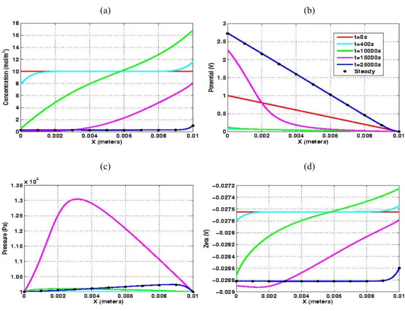 Fig. 7 – Results of the numerical simulations for p H = 6.0.