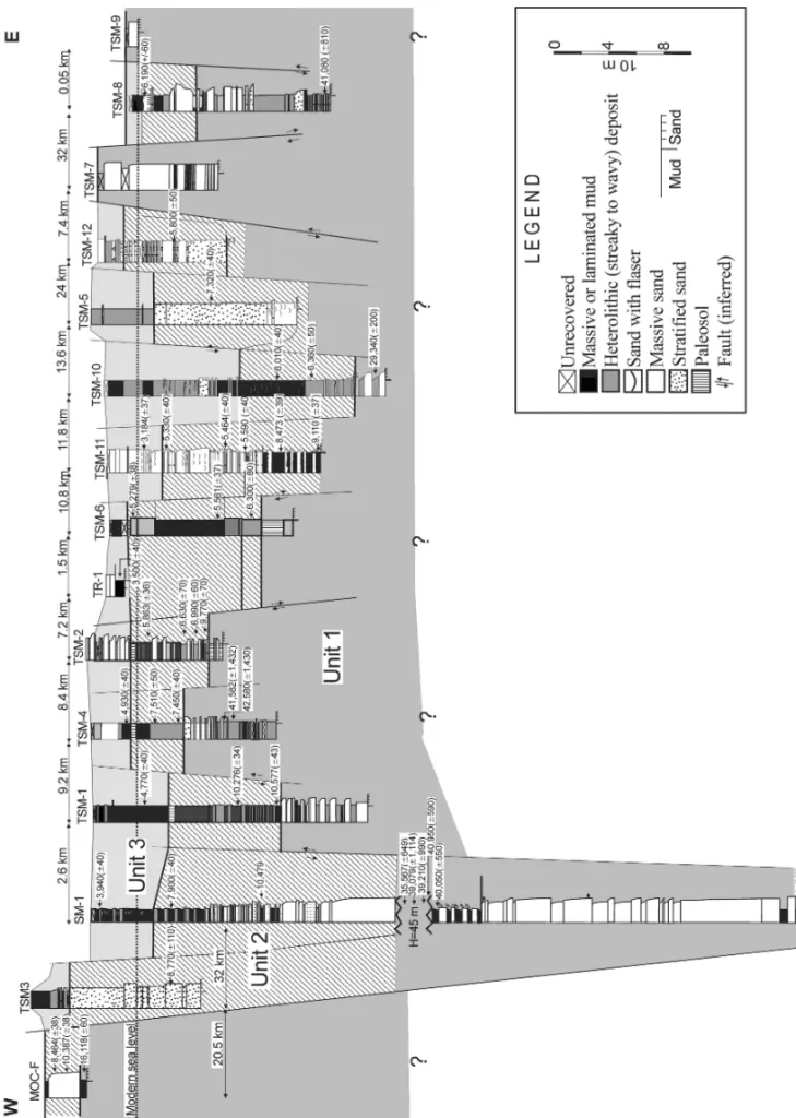 Fig. 3 – Lithostratigraphic profiles used in this study, with the interpreted stratigraphic framework established for the latest Quaternary sedimen- sedimen-tation