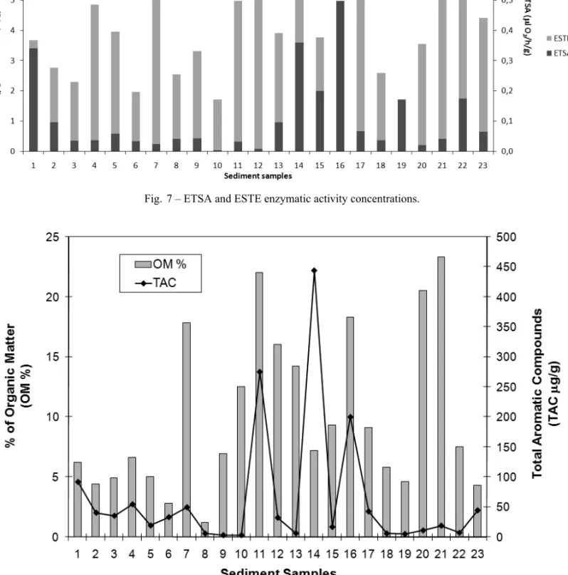 Fig. 8 – Organic matter and total aromatic compounds (TAC) concentrations in samples.