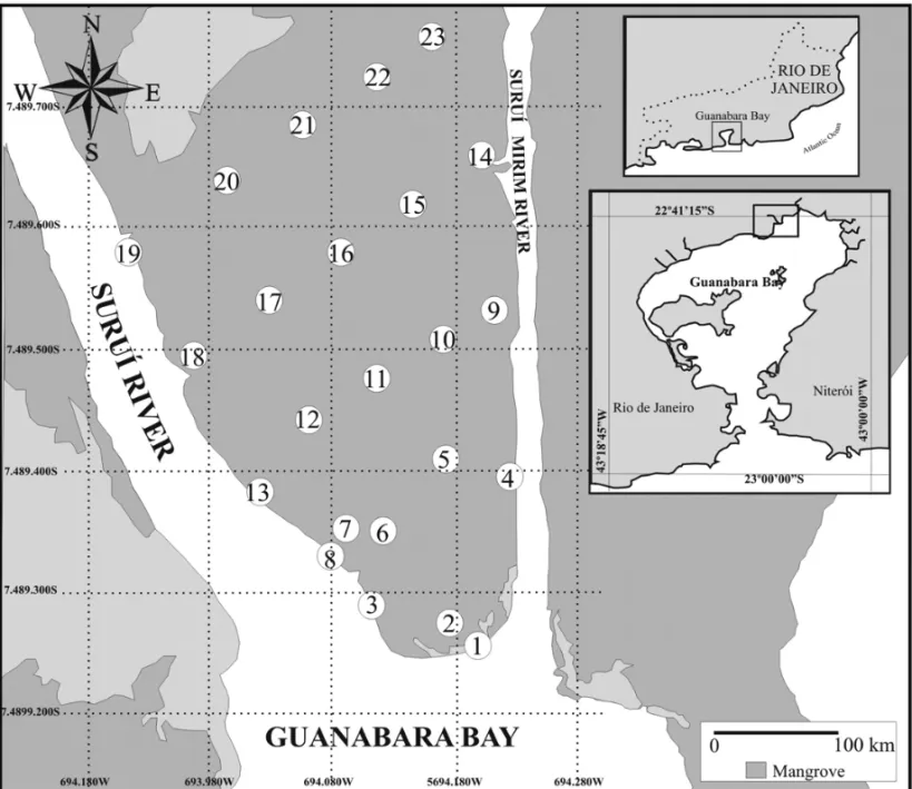 Fig. 1 – Suruí Mangrove (sampling grid).