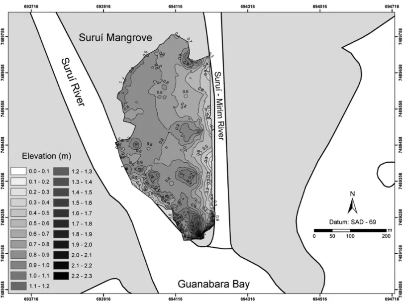 Fig. 2 – Suruí Mangrove topography.