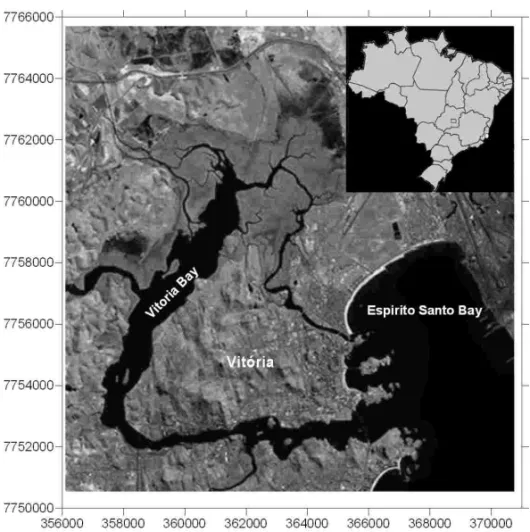 Fig. 1 – Location of the study area (Landsat image source: Embrapa).