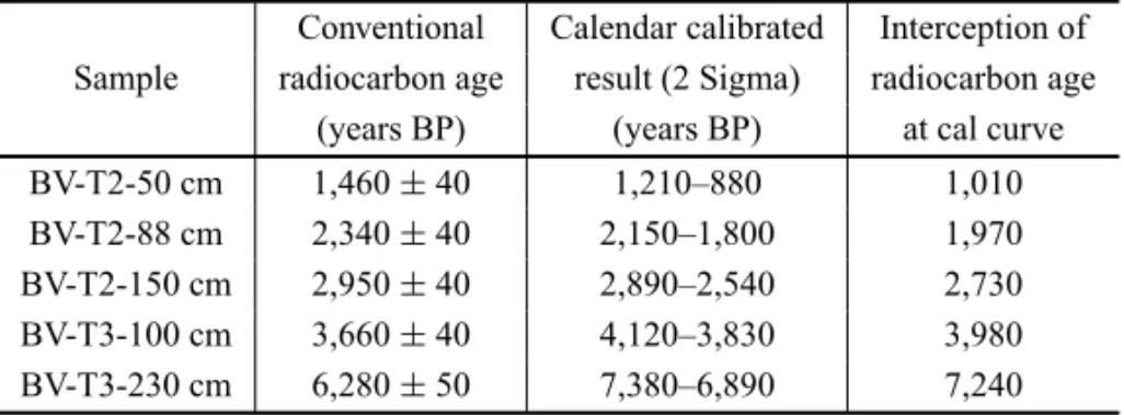 TABLE I Radiocarbon dating results.