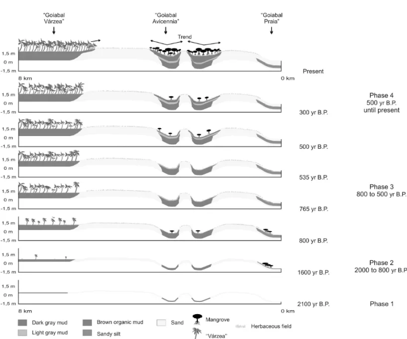 Fig. 5 – Model of wetland development in the Calçoene coastal plain.