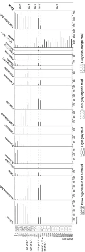 Fig. 2 – Textural description integrated to the pollen profile along the Goiabal Várzea core.