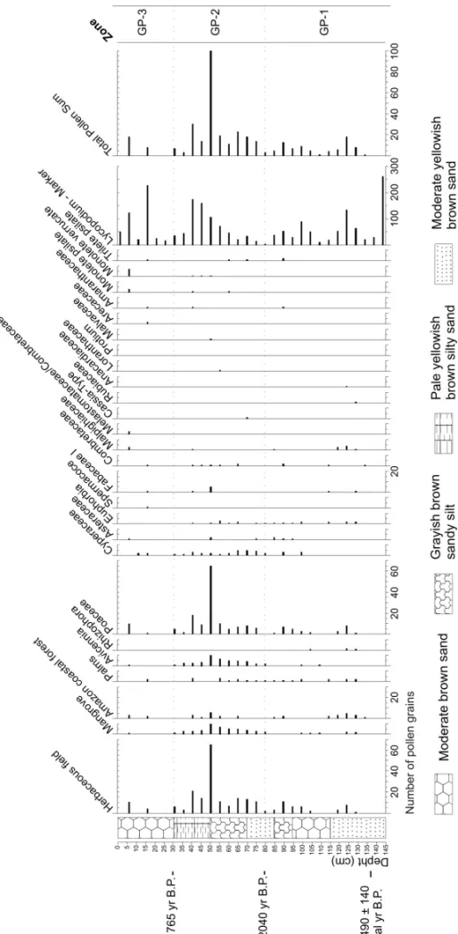 Fig. 4 – Textural description integrated to the pollen profile of Goiabal Praia core.